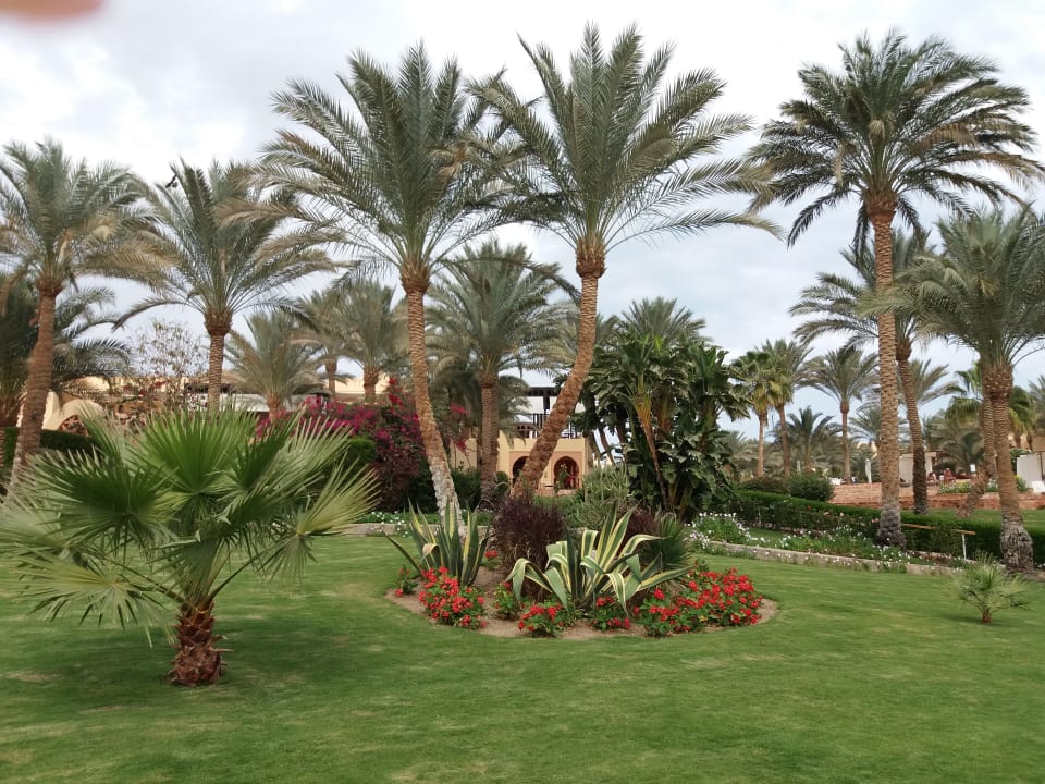 Gartenanlage Steigenberger Coraya Beach - Adults only