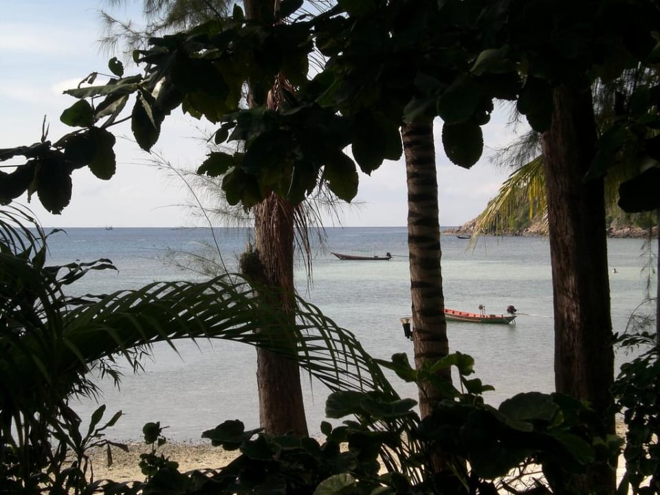 Ausblick vom Zimmer Hotel Salad Hut