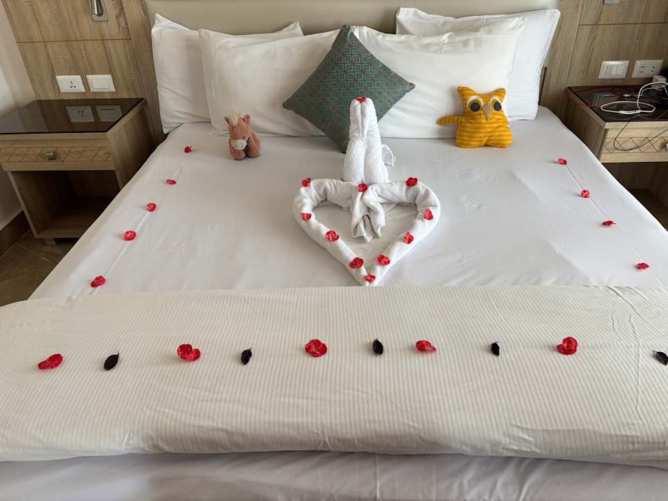 Zimmer Pickalbatros Palace Resort