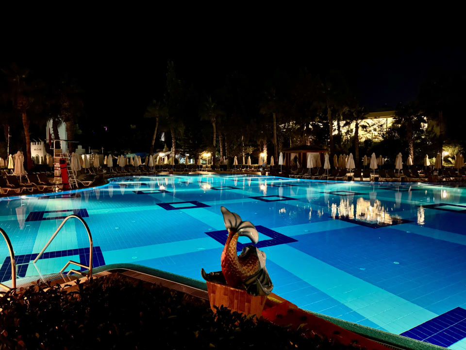 Pool Hotel Delphin Imperial