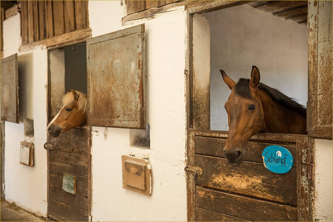 Rundgang per FotoShooting Sommer 2015 Hotel Reiterhof Altmühlsee