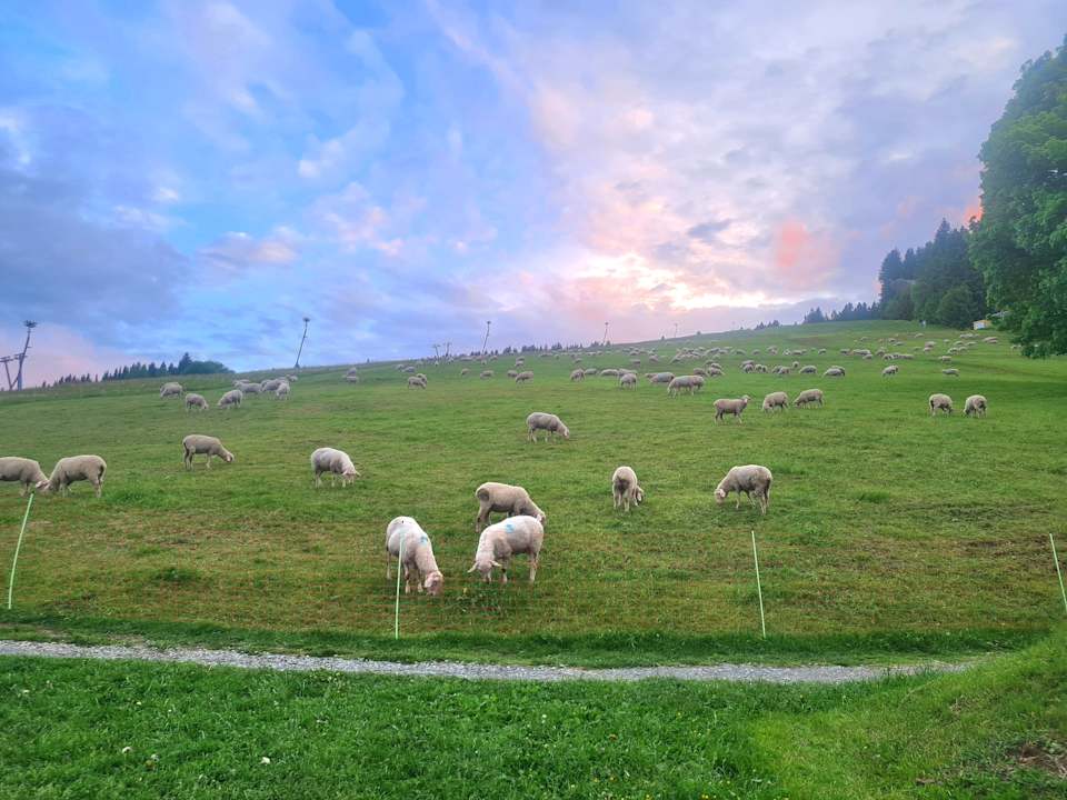 Ausblick AHORN Hotel Am Fichtelberg