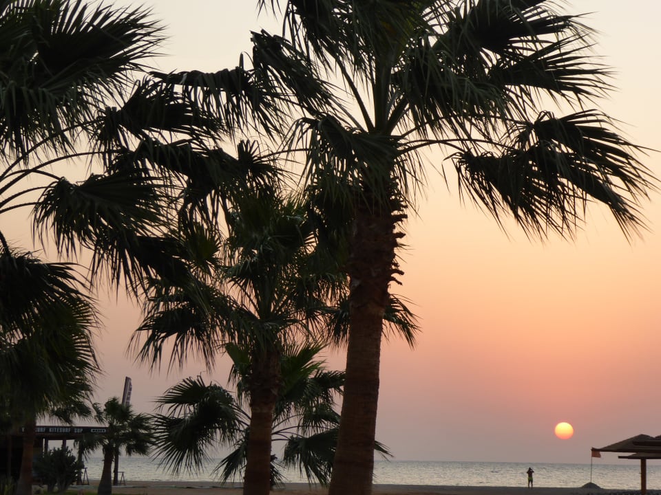 Ausblick Shams Prestige Abu Soma-Adults Only