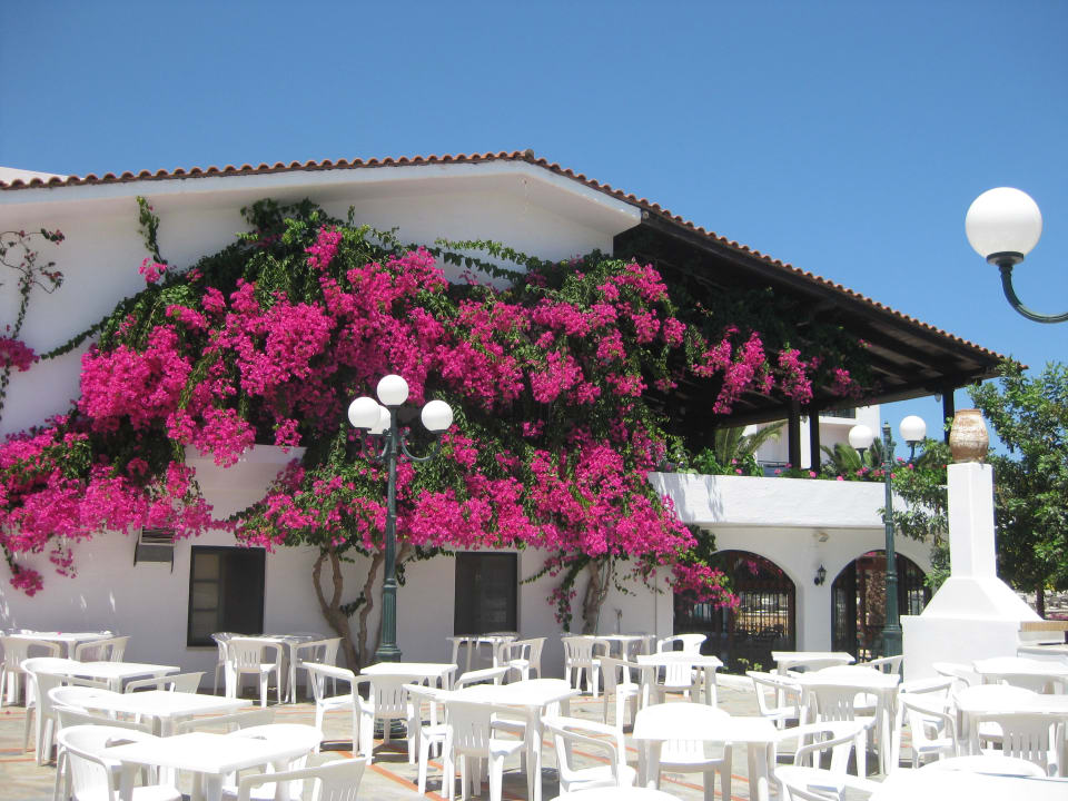 Вид на лобби бар со сцены TUI SUNEO Chrissi Amoudia