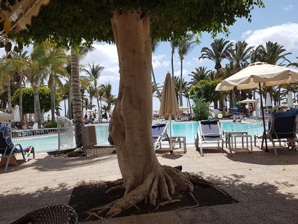 Pool Hipotels La Geria