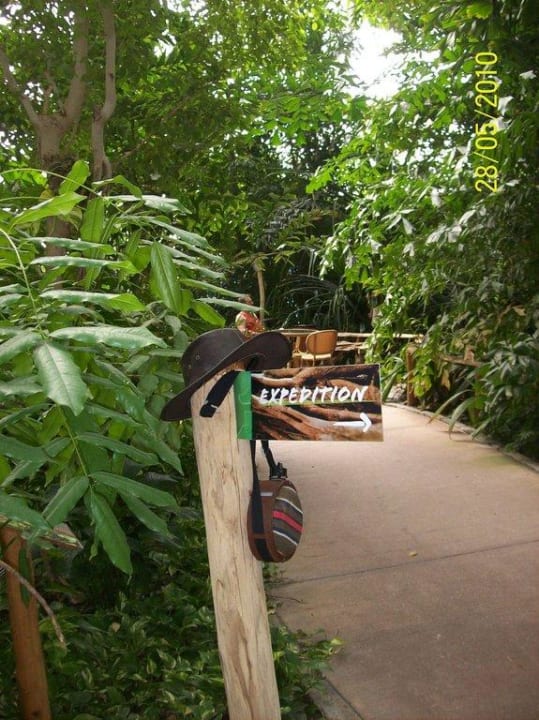 Regenwald Tropical Islands Resort