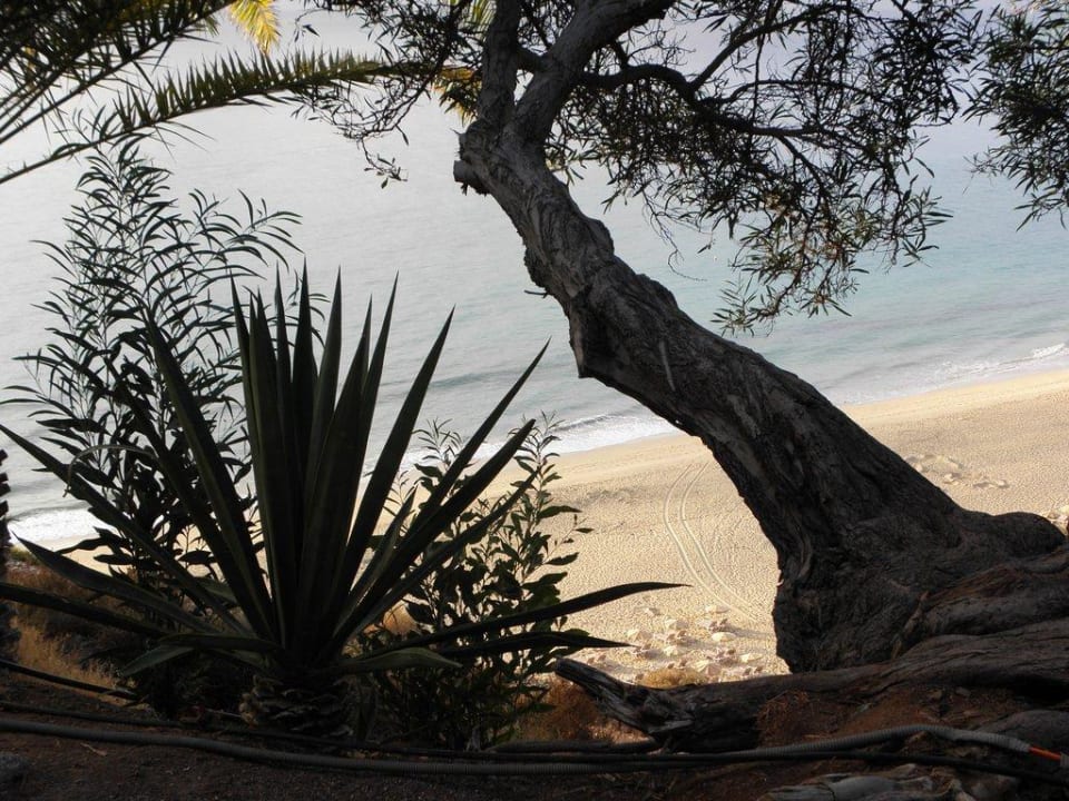 Blick auf Strand ROBINSON ESQUINZO PLAYA