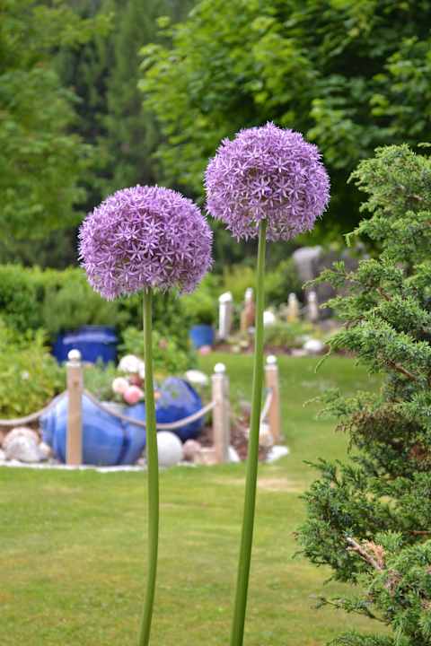 Farbenfroh Pension Lindenbauer