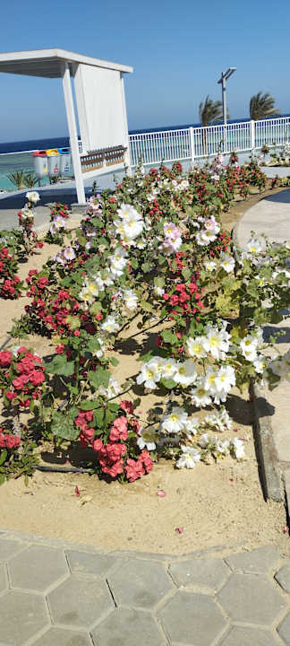 Gartenanlage Pickalbatros Villaggio Resort - Portofino