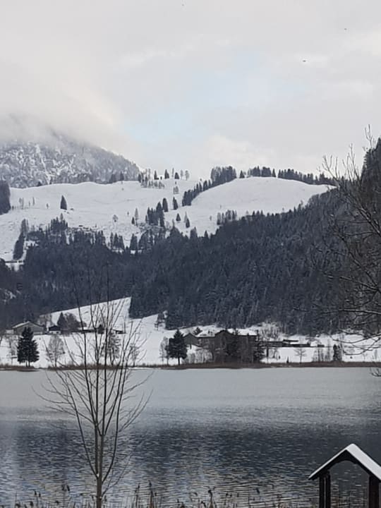 Ausblick Hotel Bellevue am See