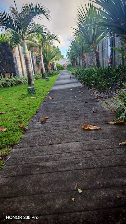 Sonstiges Tropical Attitude - Adults only