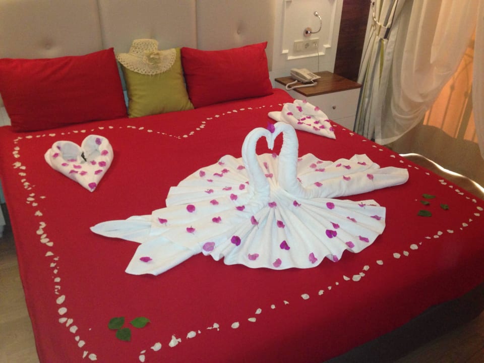 Schöne Überraschung  Well Palace Side