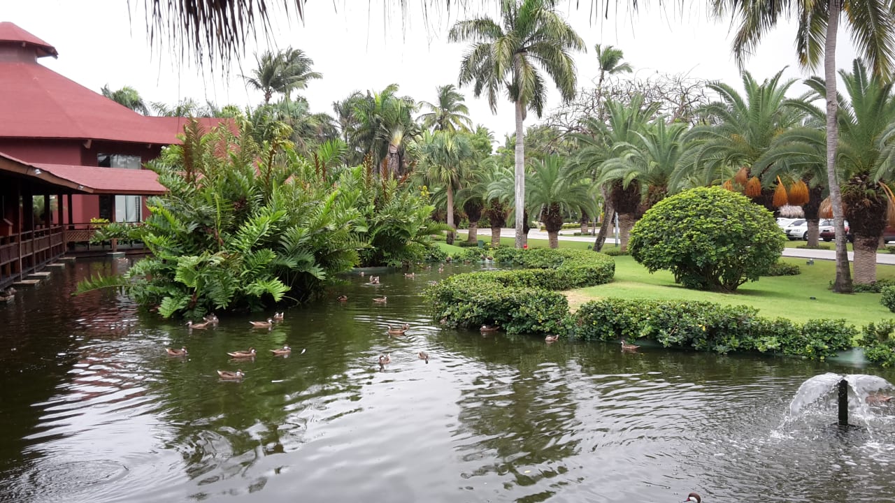 Gartenanlage Hotel Grand Palladium Palace Resort, Spa & Casino