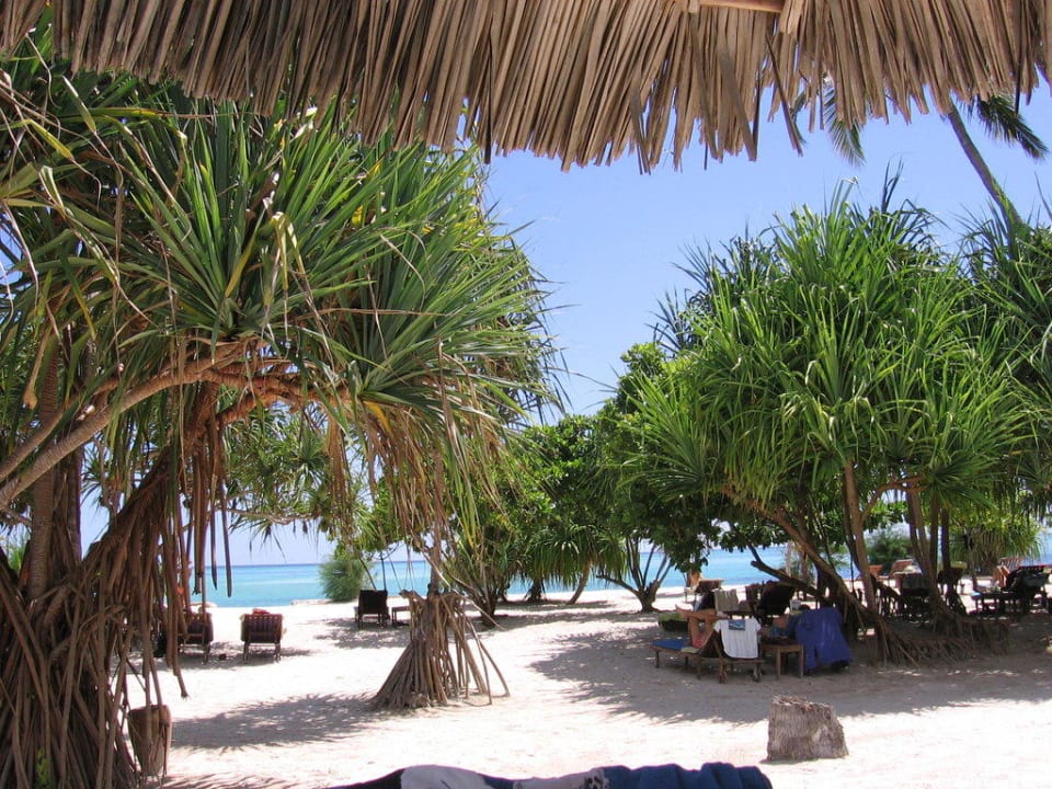 Ausblick aufs Meer Neptune Pwani Beach Resort & Spa
