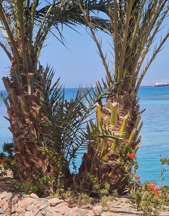 Ausblick Meraki Resort (Adults Only)