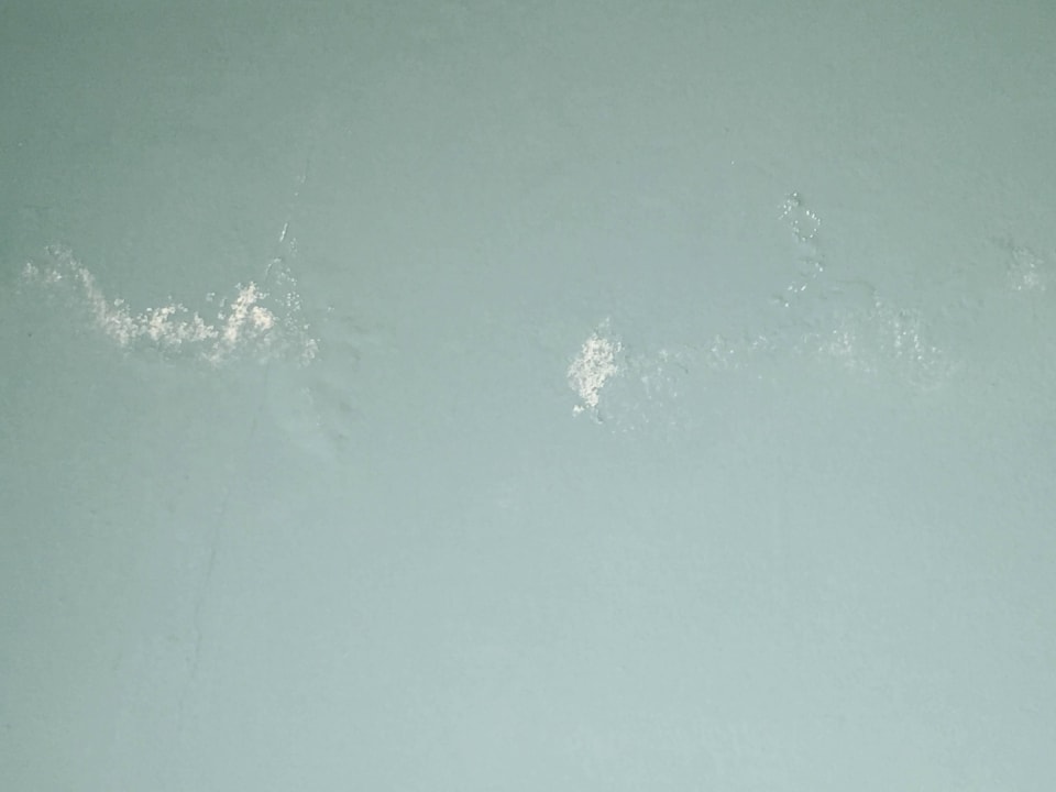 Grzyb na ścianie nad łóżkiem Elba Carlota Beach & Golf Resort