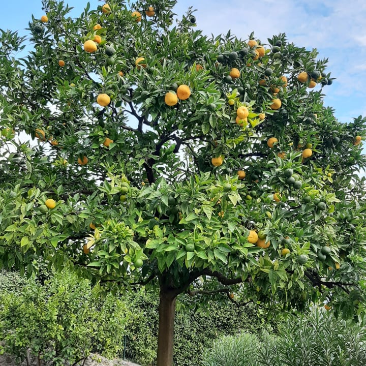Außenansicht Hotel Caravel