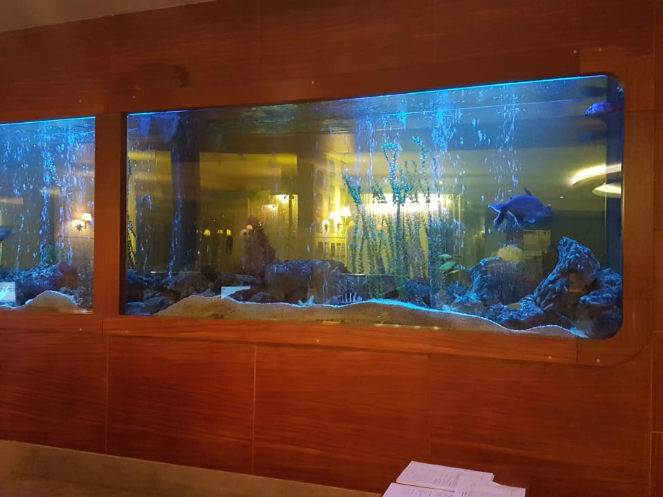 Lobby Hotel Grand Side