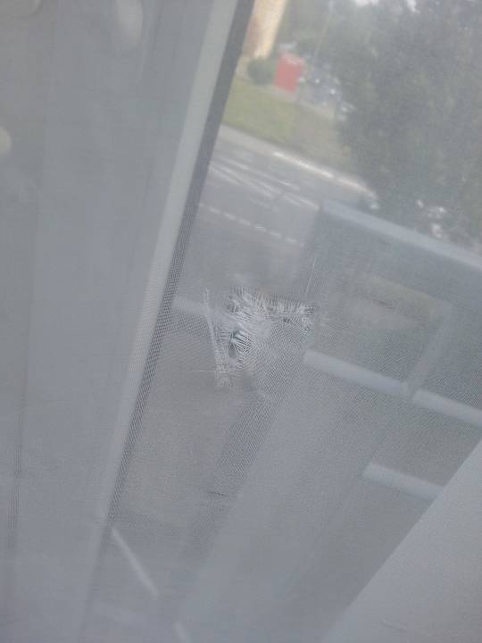 Zerrissener Vorhang H+ Hotel Köln Hürth