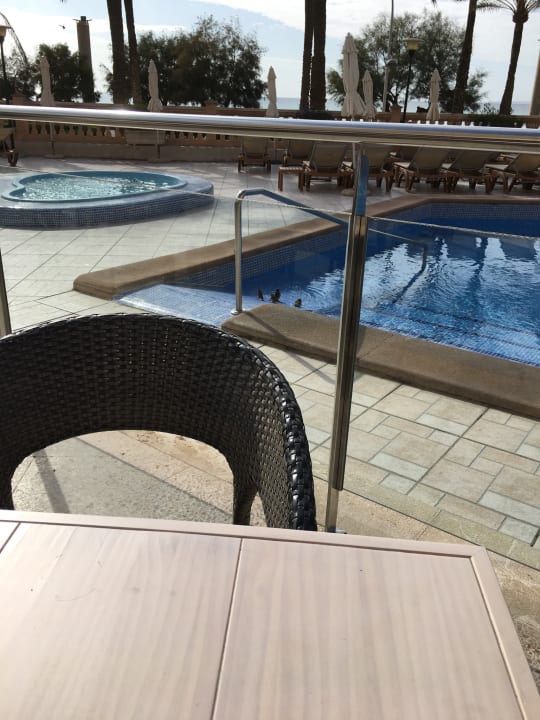 Pool allsun Hotel Pil-lari Playa