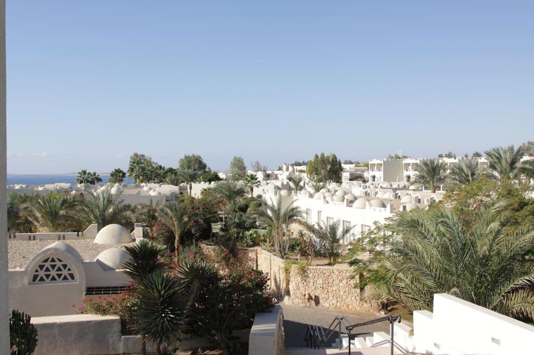 Blick über die Anlage Richtung Meer Reef Oasis Beach Resort