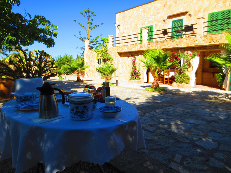 Leckeres Frühstück zwischen Palmen  Fincahotel Son Baro