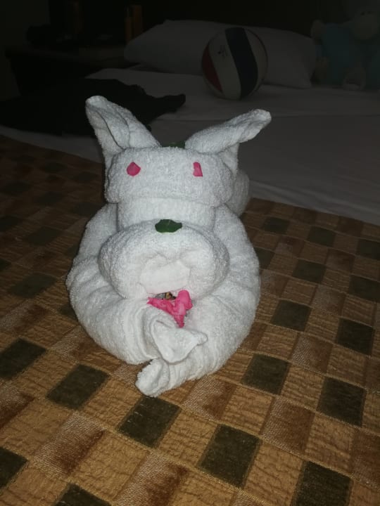 Zimmer Regency Plaza Aqua Park & Spa