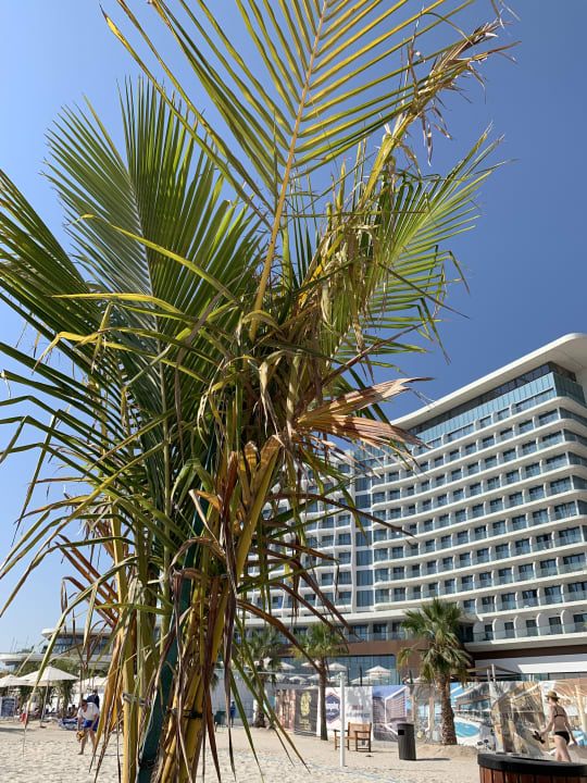 Außenansicht Hampton by Hilton Marjan Island