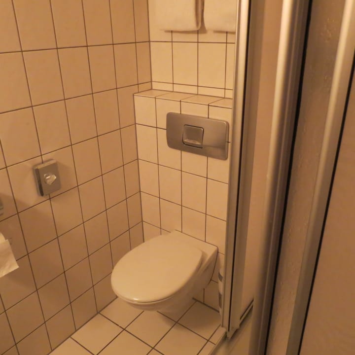 Bad Hotel Ellenzer Goldbäumchen