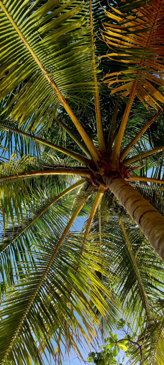 Gartenanlage Vilamendhoo Island Resort & Spa