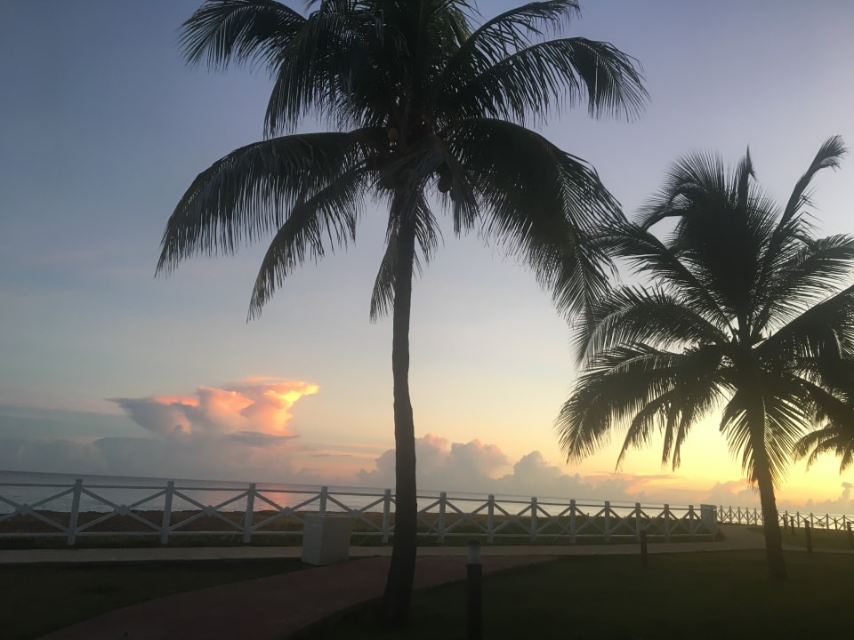 Gartenanlage Sirenis Tropical Varadero