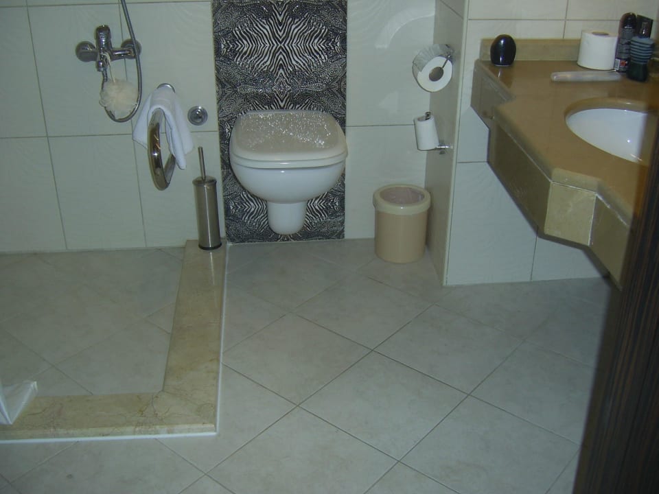 Rollstuhl untaugliches Bad  Aydinbey Kings Palace & Spa