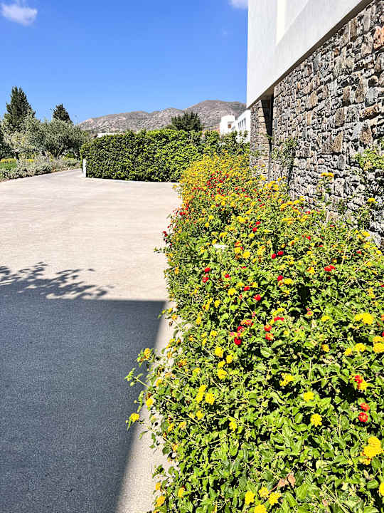 Gartenanlage Gennadi Grand Resort