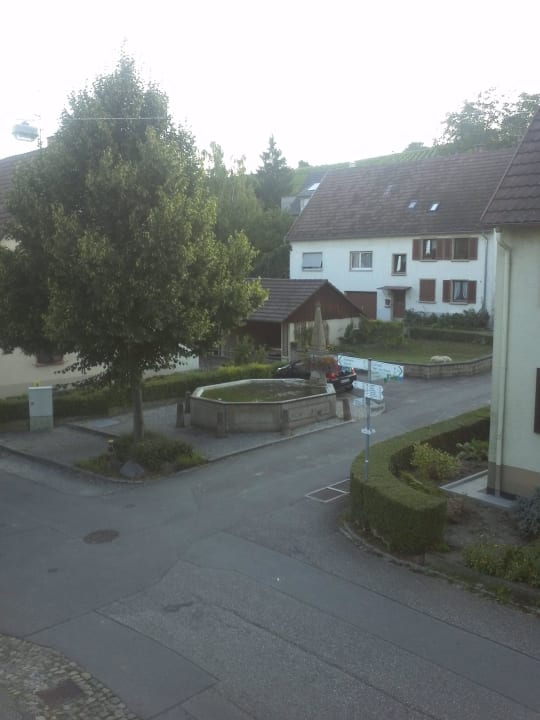 Ausblick Landgasthof-Hotel Rebstock