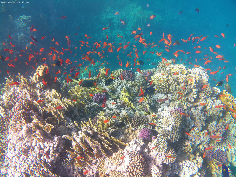 Strand Casa Mare Resort