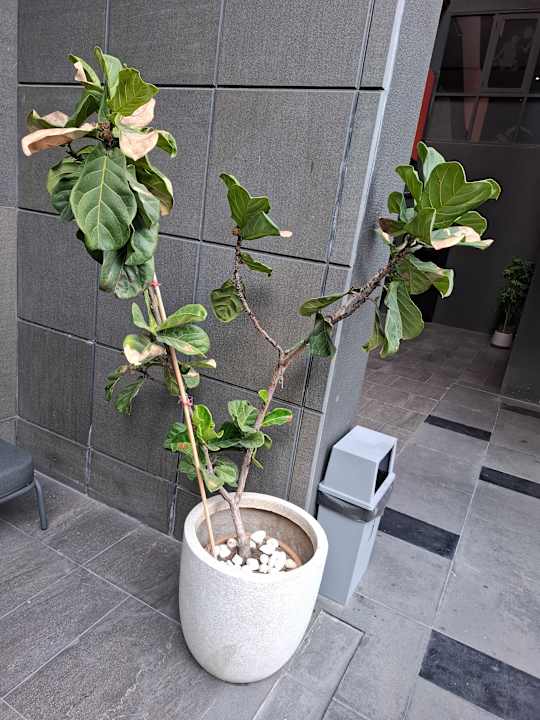 Außenansicht Best Western Plus Nexen Pattaya