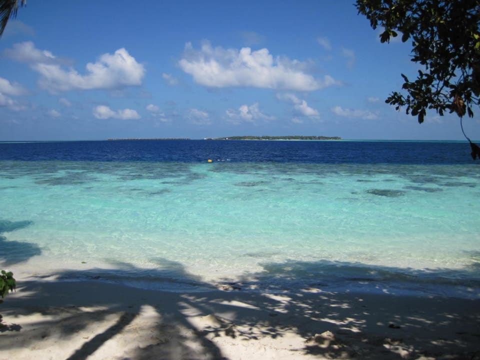 Ausblick auf das Riff Vilamendhoo Island Resort & Spa