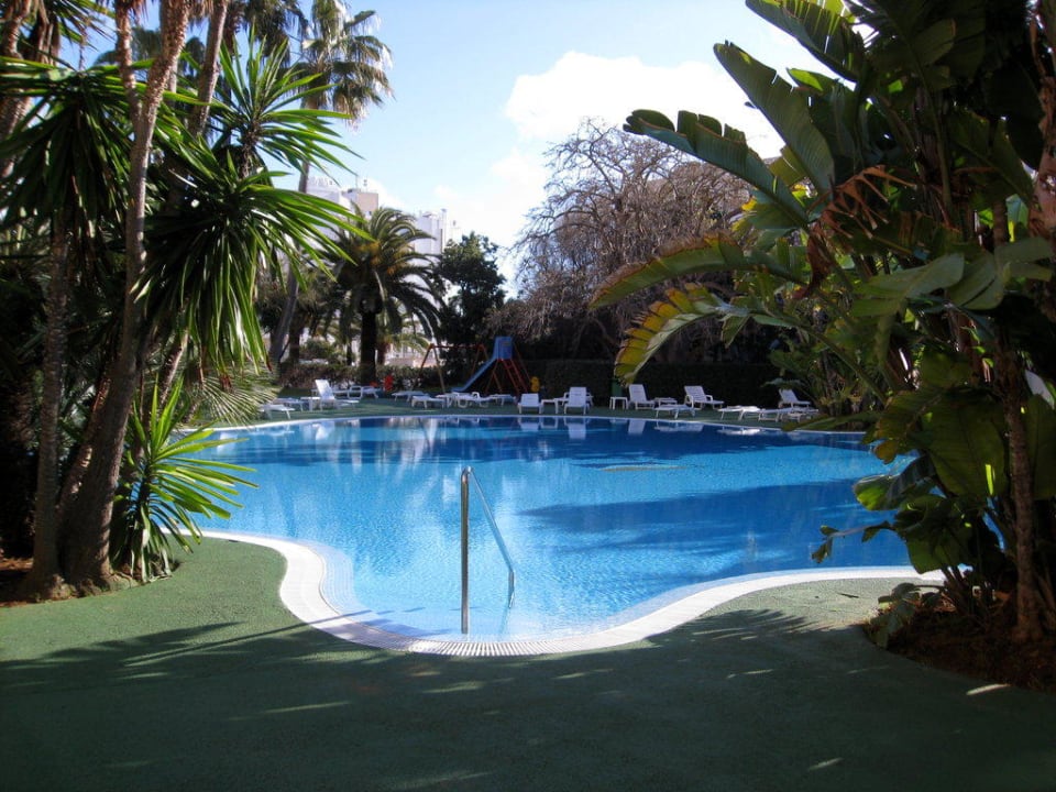 Pool im März Hipotels Said  Hotel