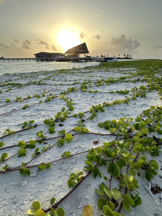 Ausblick Le Meridien Maldives Resort & Spa