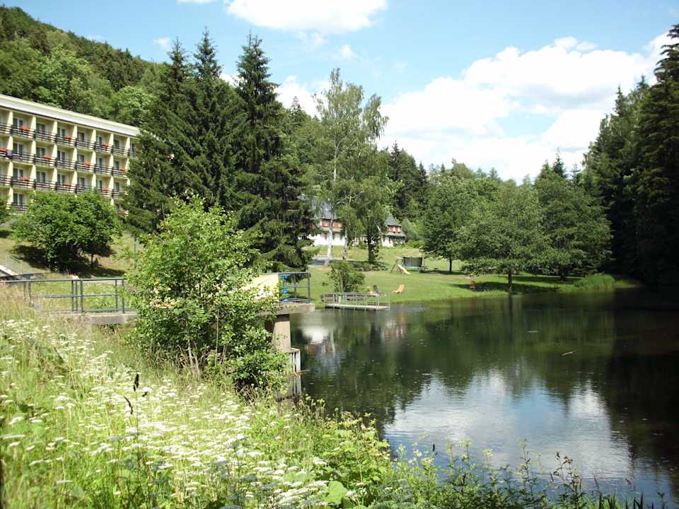 "Teichanlage mit Garten" Hotel Schwarzbachtal (im Umbau/Renovierung