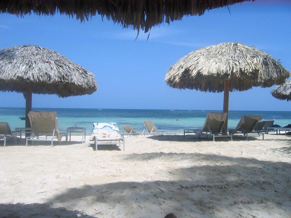 Traumstrand! Catalonia Punta Cana - All Inclusive