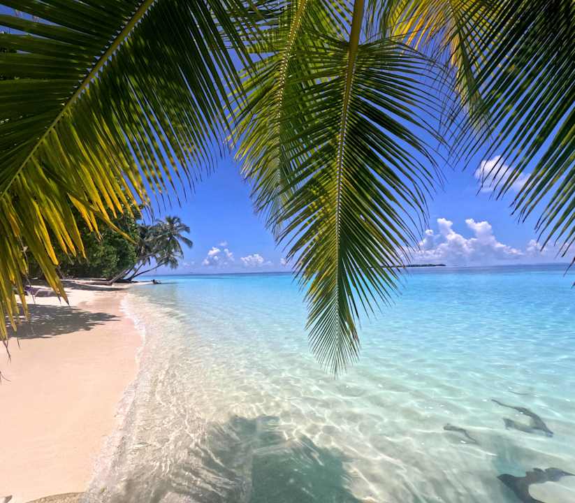 Strand Vilamendhoo Island Resort & Spa