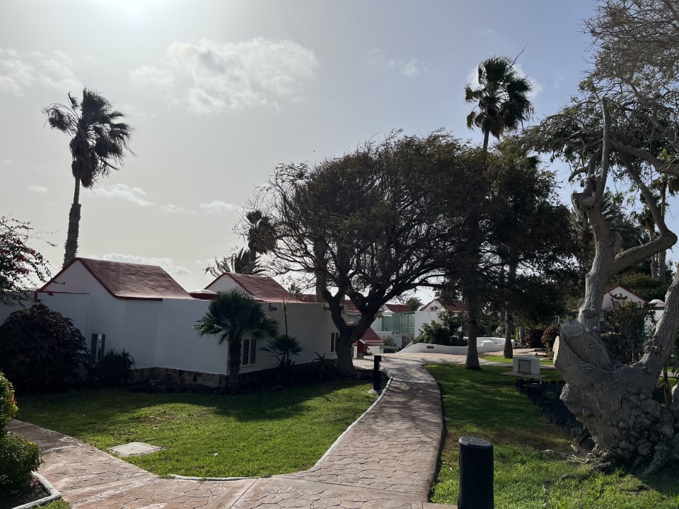 Gartenanlage Aldiana Club Fuerteventura