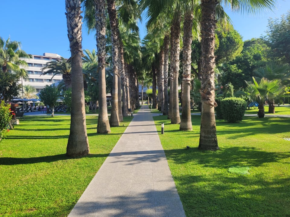 Gartenanlage Hotel Miramare Beach