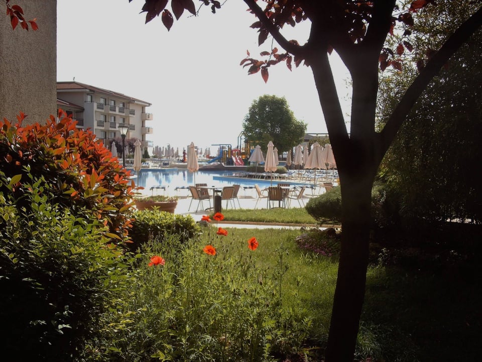 Garten mit Poolblick HVD Clubhotel Miramar