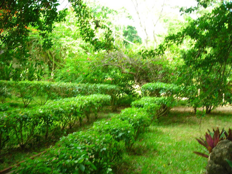 Widok ogrodu niedaleko kortów tenisowych Baobab Beach Resort & Spa