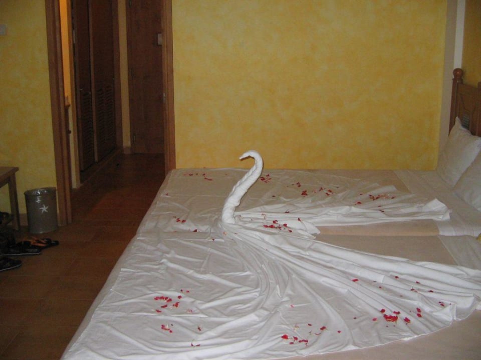 Schwanensee Iberostar Selection Paraiso Lindo