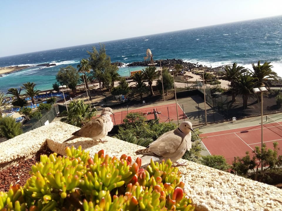 Zimmer 4. Sock Hotel Grand Teguise Playa