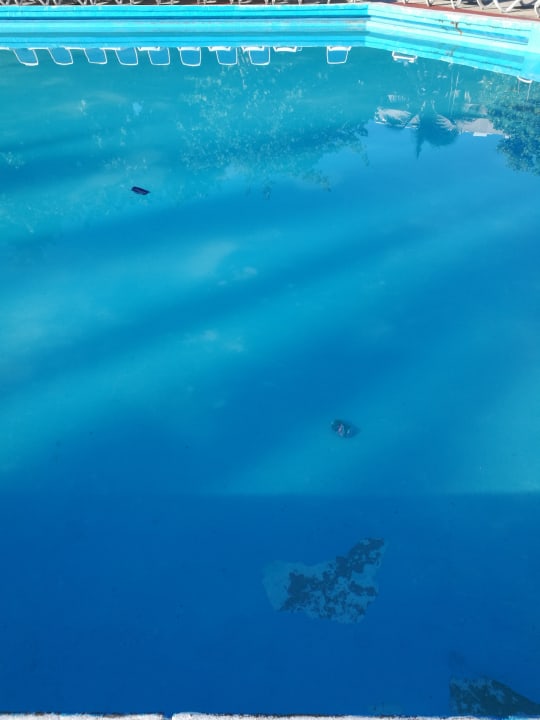 Pool Hotel Gran Caribe Premium Triton / Neptuno