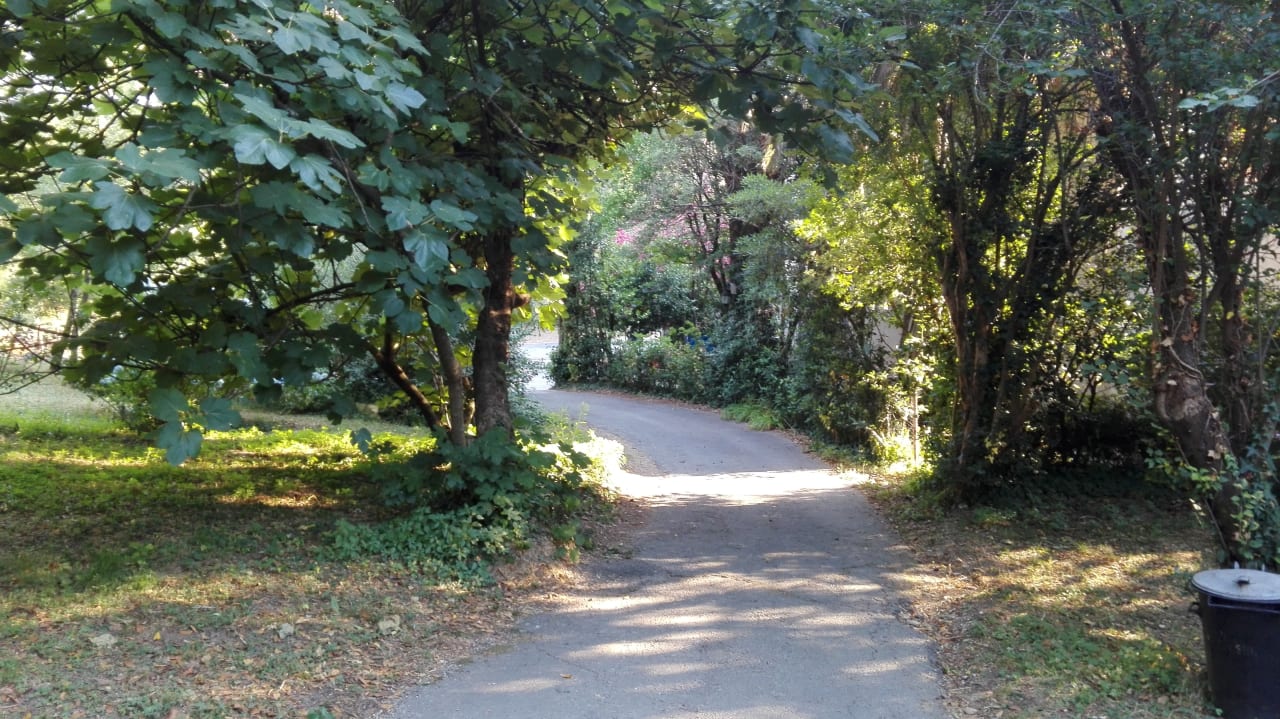 Ausblick Autocamp Zelenika